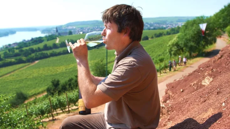 rheinhessen