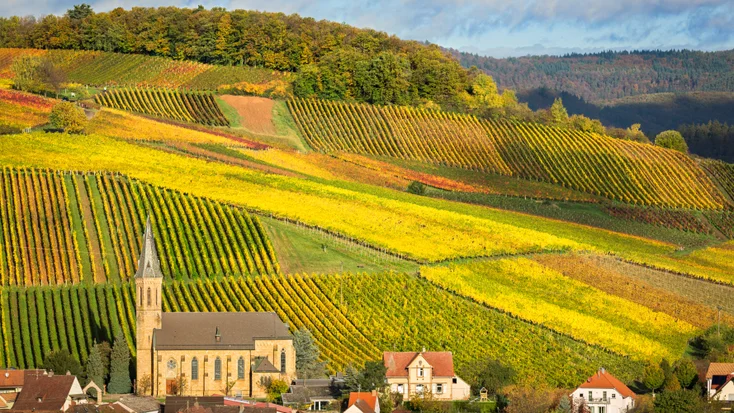 pfalz